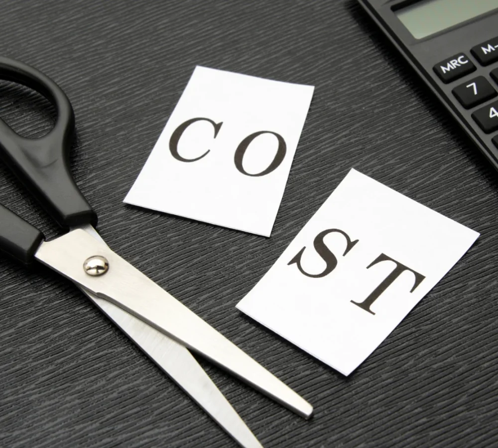 cost-cutting