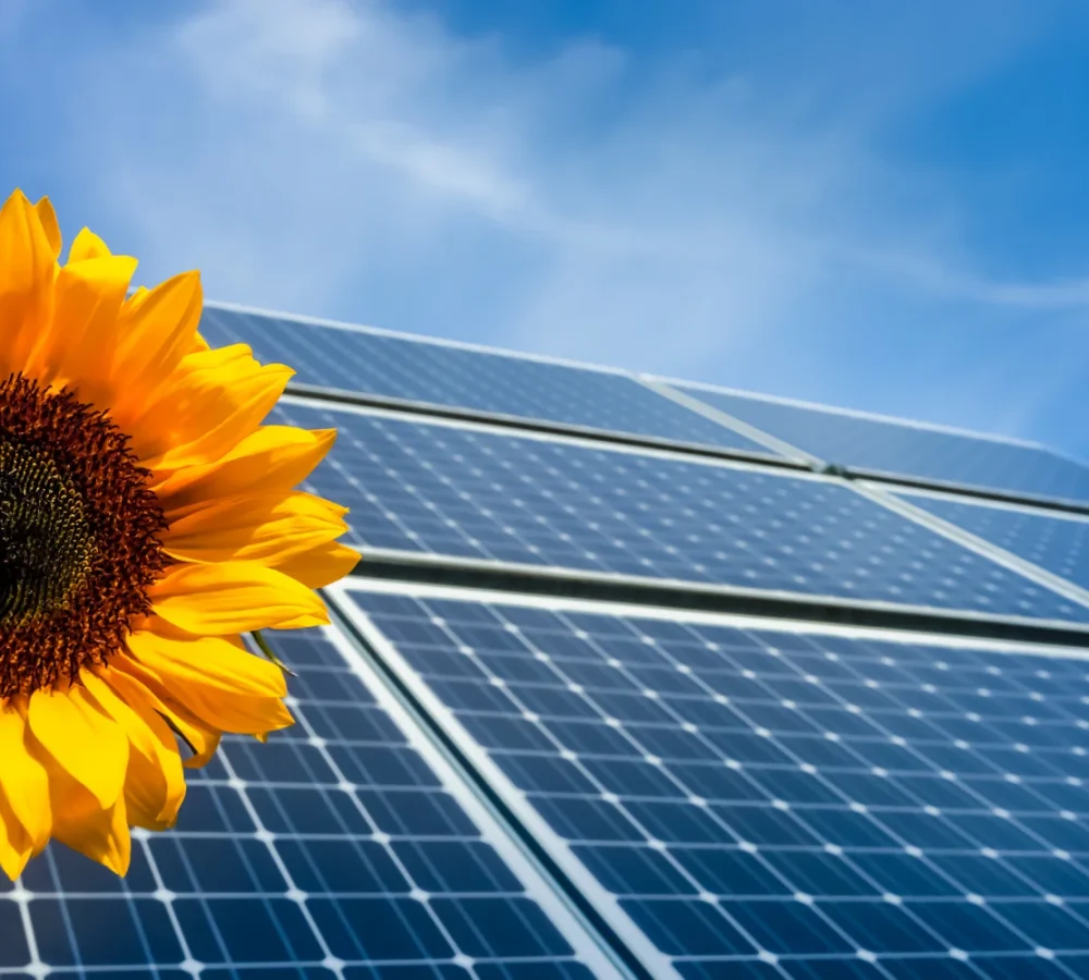 solar-energy-sunflower